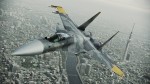 Ace Combat Assault Horizon