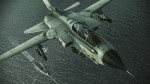 Ace Combat Assault Horizon