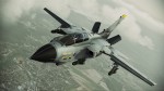 Ace Combat Assault Horizon