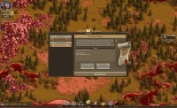 The Settlers Online