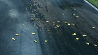 Project CARS