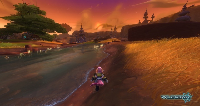 WildStar