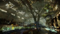 Crysis 3