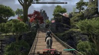 The Elder Scrolls Online