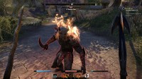 The Elder Scrolls Online