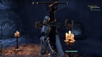 The Elder Scrolls Online