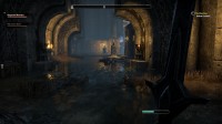 The Elder Scrolls Online
