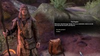 The Elder Scrolls Online