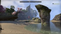 The Elder Scrolls Online