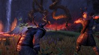 The Elder Scrolls Online