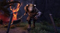 The Elder Scrolls Online