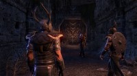 The Elder Scrolls Online
