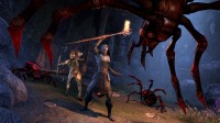 The Elder Scrolls Online