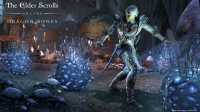 The Elder Scrolls Online
