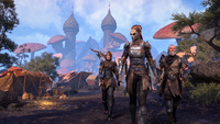 The Elder Scrolls Online