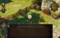 Divinity: Original Sin