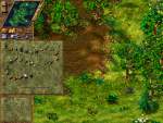 The Settlers IV