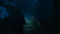 Alan Wake II