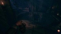 Amnesia: A Machine for Pigs