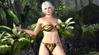 Dead or Alive 5