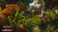 The Witcher 3: Wild Hunt