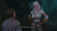 The Witcher 3: Wild Hunt