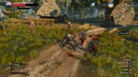 The Witcher 3: Wild Hunt