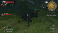 The Witcher 3: Wild Hunt