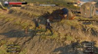 The Witcher 3: Wild Hunt