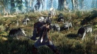 The Witcher 3: Wild Hunt