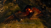 UHD felbontású (3840*2160 pixel), nagy fileméretű screenshot - The Witcher 3: Wild Hunt