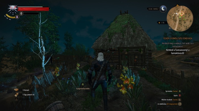 The Witcher 3: Wild Hunt