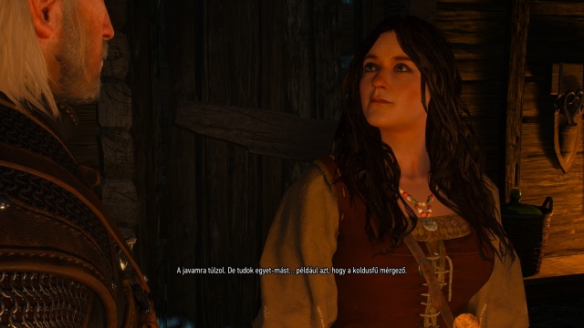 The Witcher 3: Wild Hunt