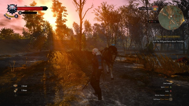 The Witcher 3: Wild Hunt