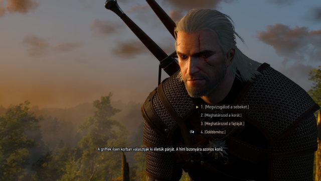 The Witcher 3: Wild Hunt