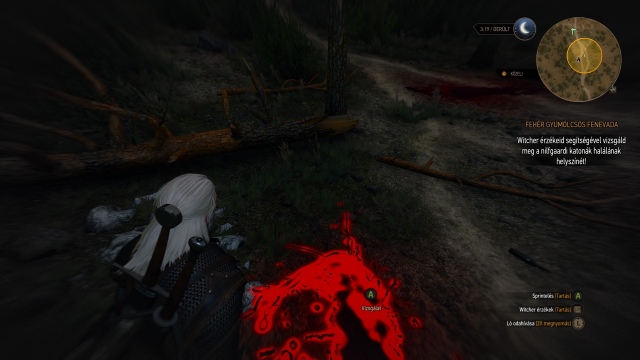 The Witcher 3: Wild Hunt