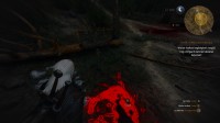 The Witcher 3: Wild Hunt