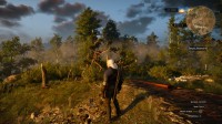 The Witcher 3: Wild Hunt