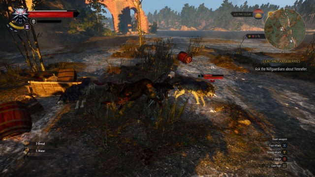 The Witcher 3: Wild Hunt