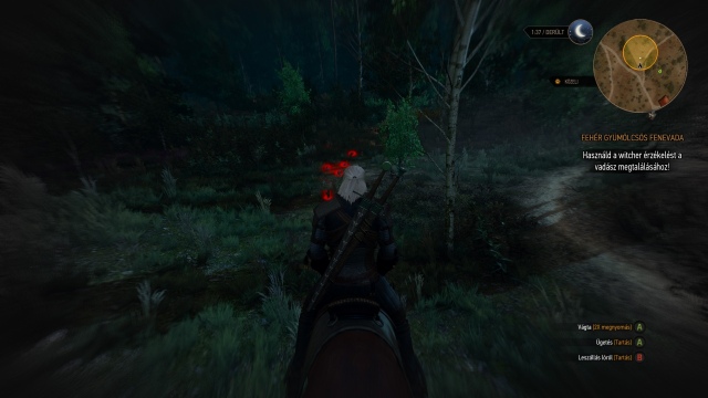 The Witcher 3: Wild Hunt