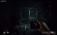 Daylight