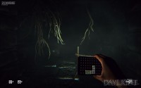 Daylight