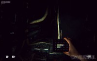Daylight