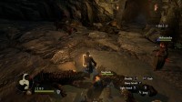 Dragon's Dogma: Dark Arisen