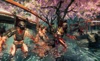 Shadow Warrior (reboot)