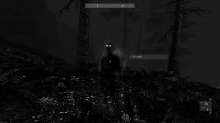 Betrayer
