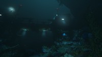 SOMA