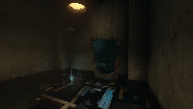 SOMA
