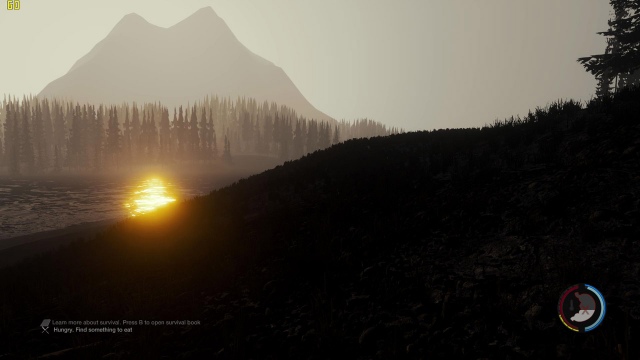The Forest