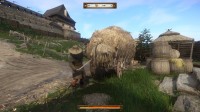 Kingdom Come: Deliverance